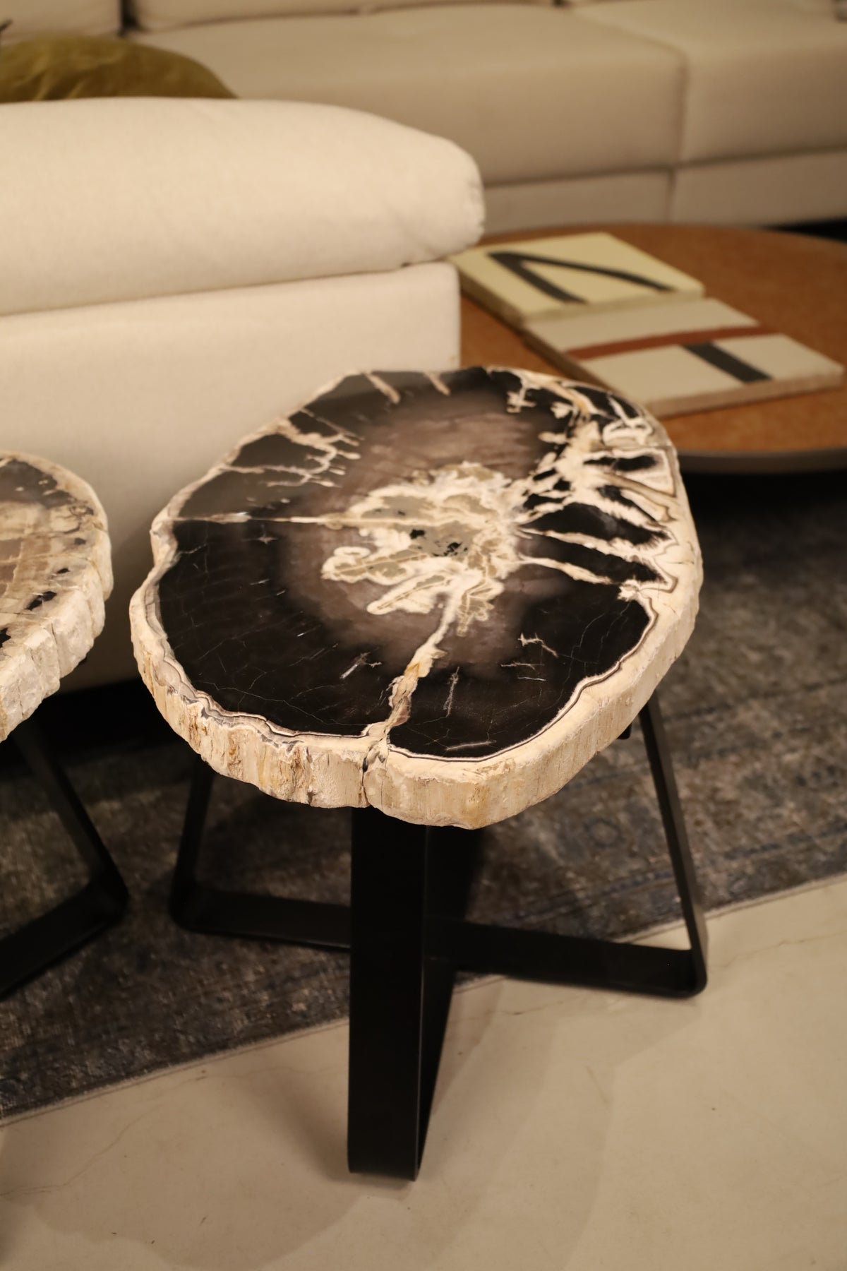 Mesa Lateral de Madera Petrificada