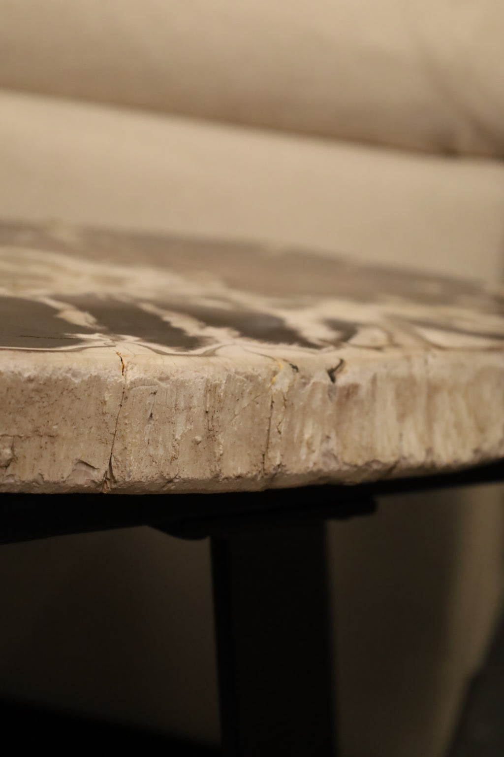 Mesa Lateral de Madera Petrificada