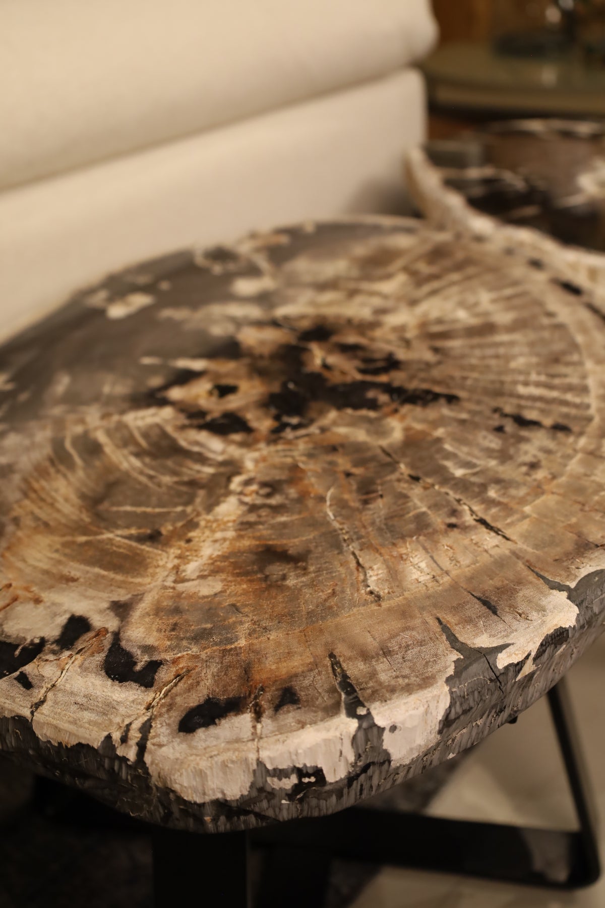 Mesa Lateral de Madera Petrificada